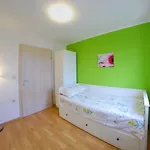 Apartman Nelkas Póla